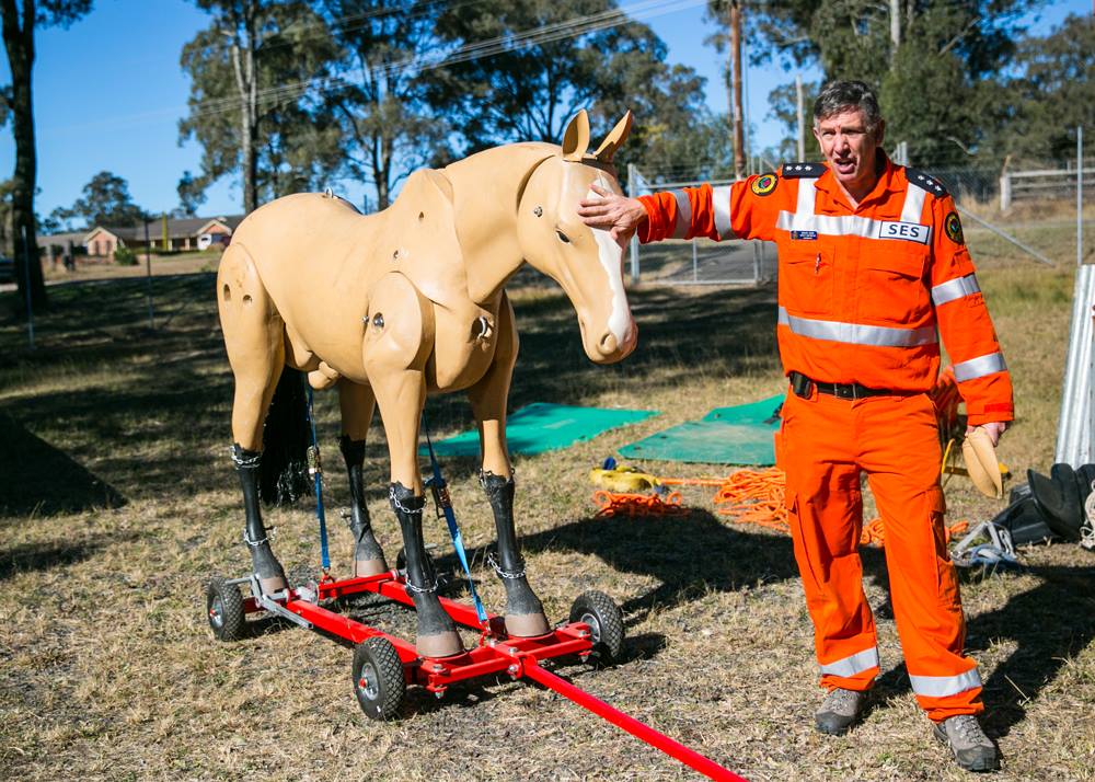 Life-Size Dog Training Mannequin - *Resquip*